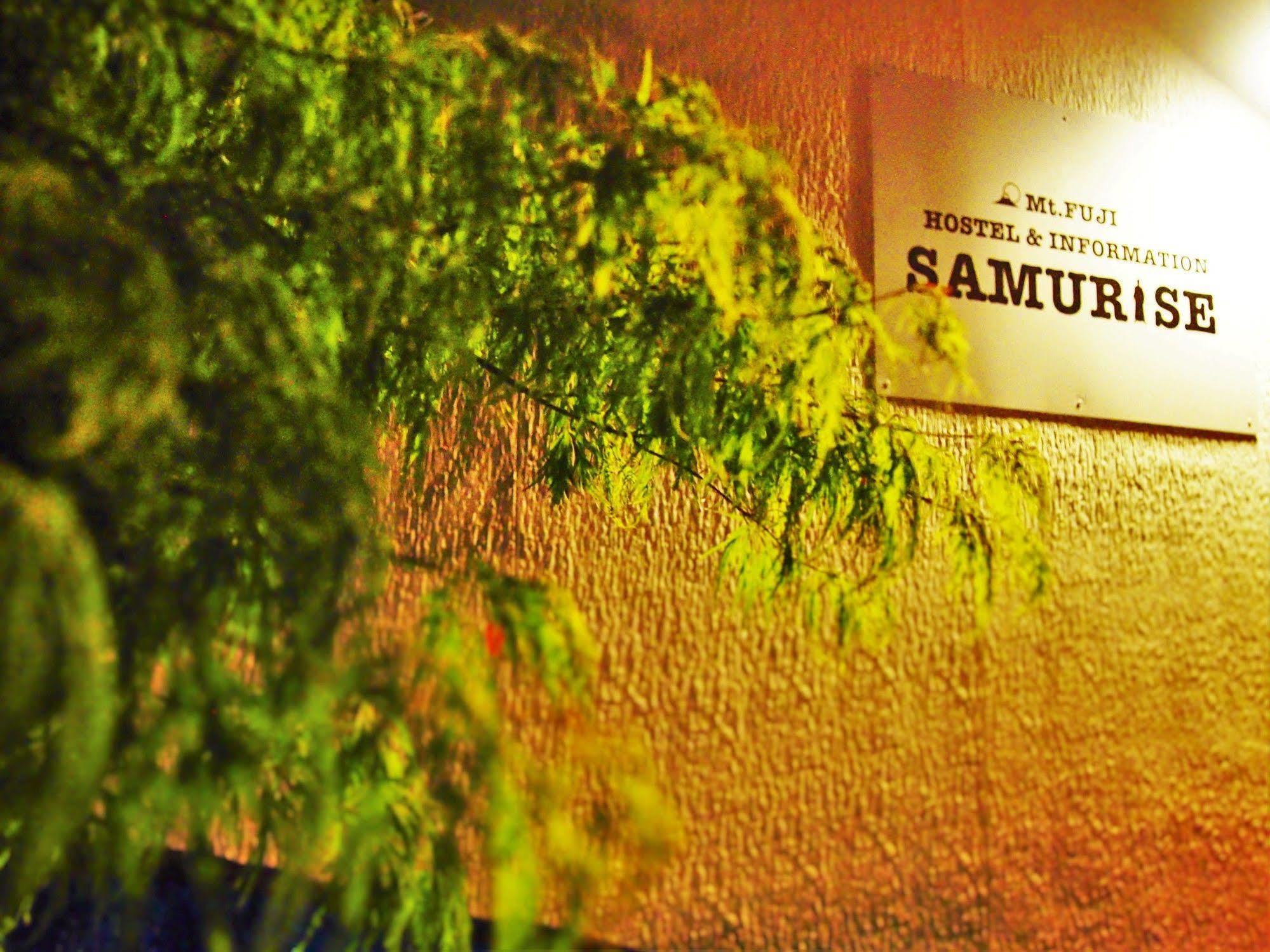 Hostel Samurise Mt Fuji Fujikawaguchiko Bagian luar foto